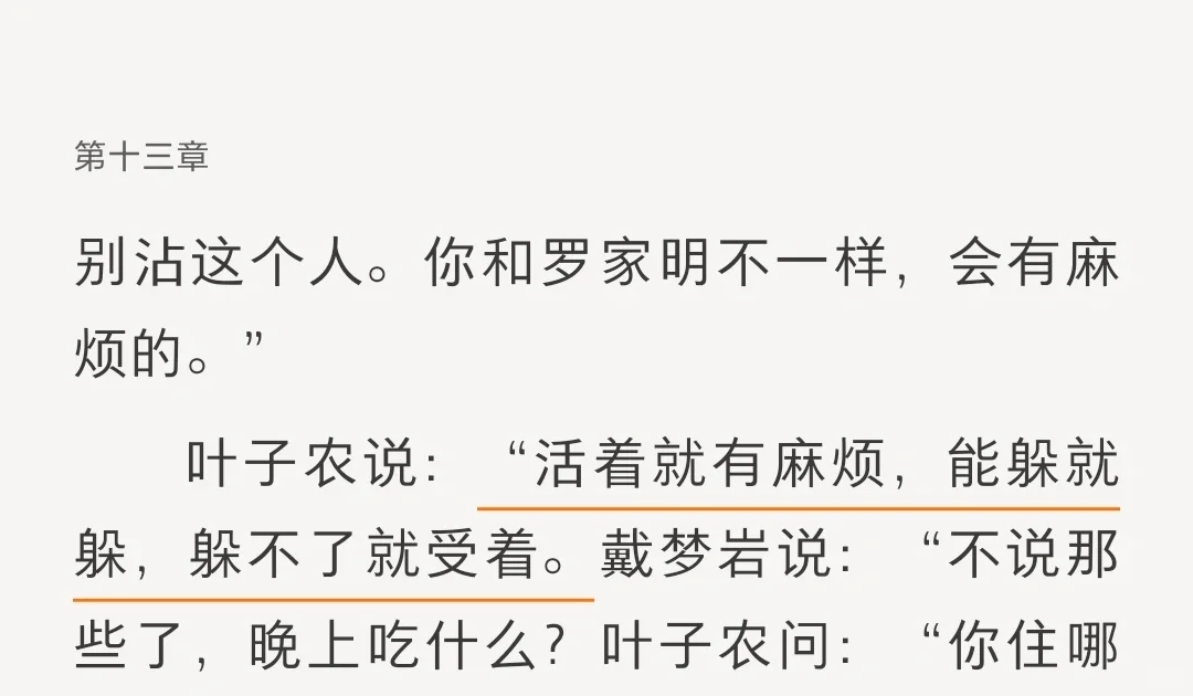 《天幕红尘》叶子农哲学