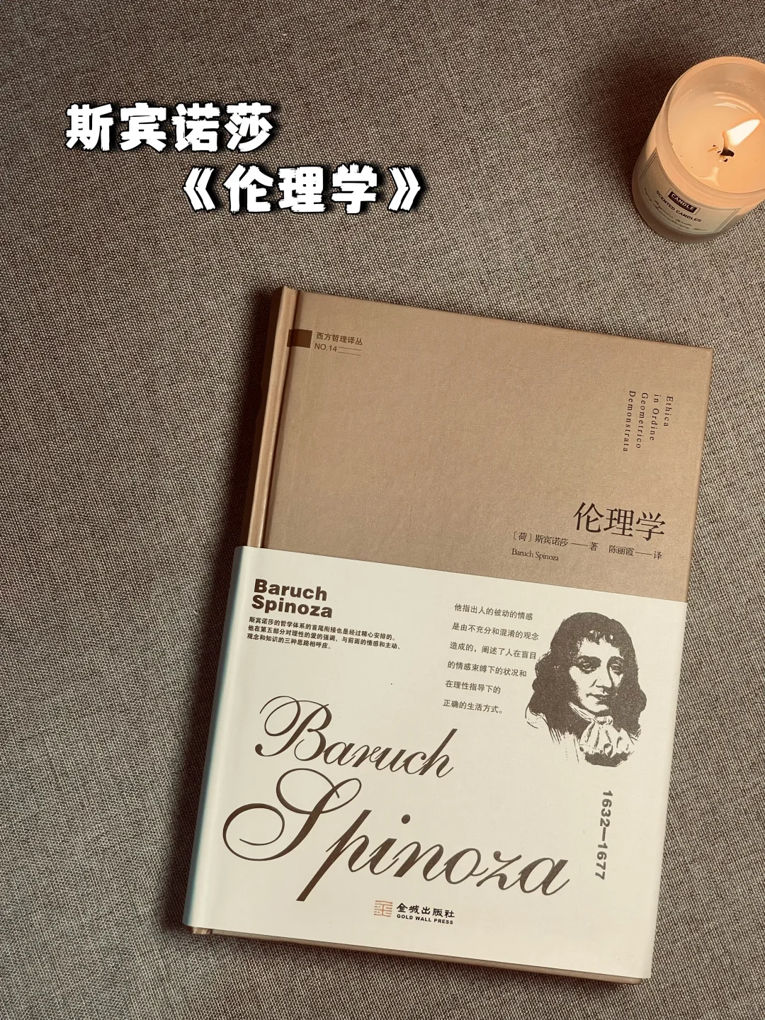 神书书单📚能看懂一本就是个狠人🫢
