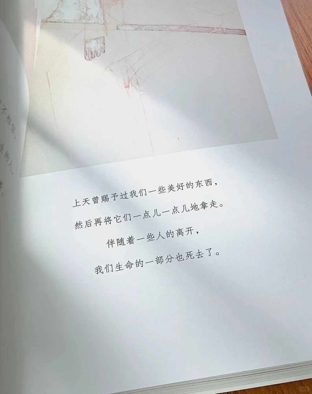 生而为人｜无需抱歉，我们终归要活成自己