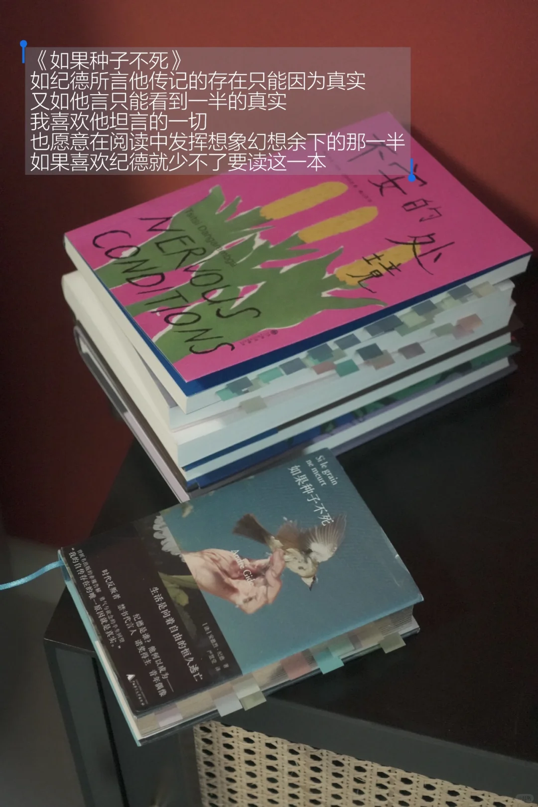 5月书单总结｜读的不多但都读到了心里去