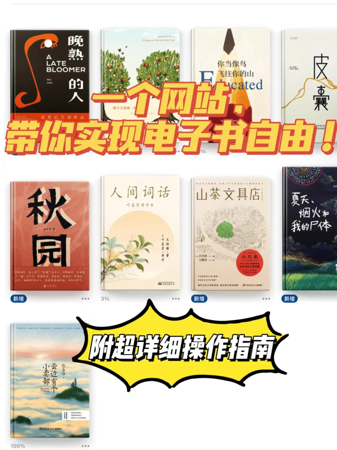 一个网站，带你实现电子书自由❗️
