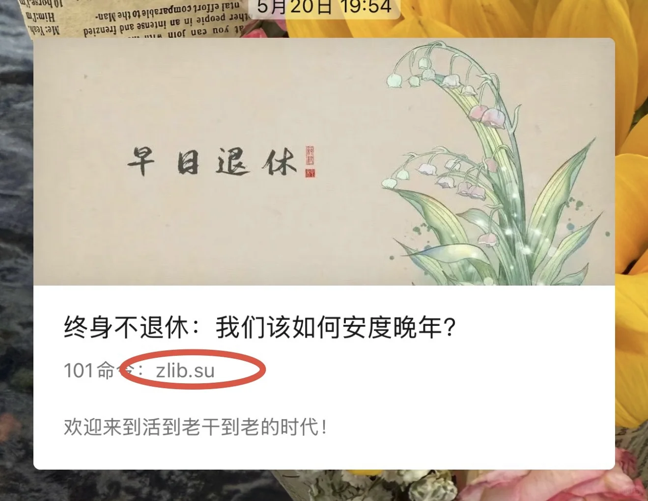 📚Zlibrary永久地址终于被我挖到啦