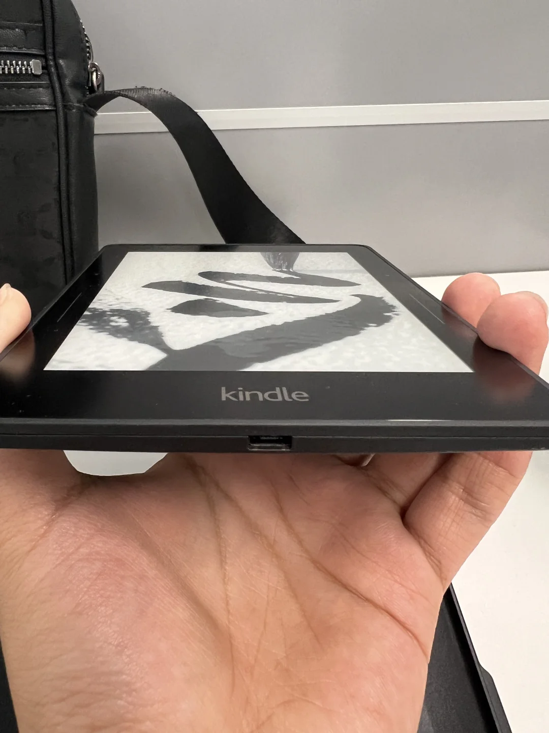 Kindle voyage图鉴