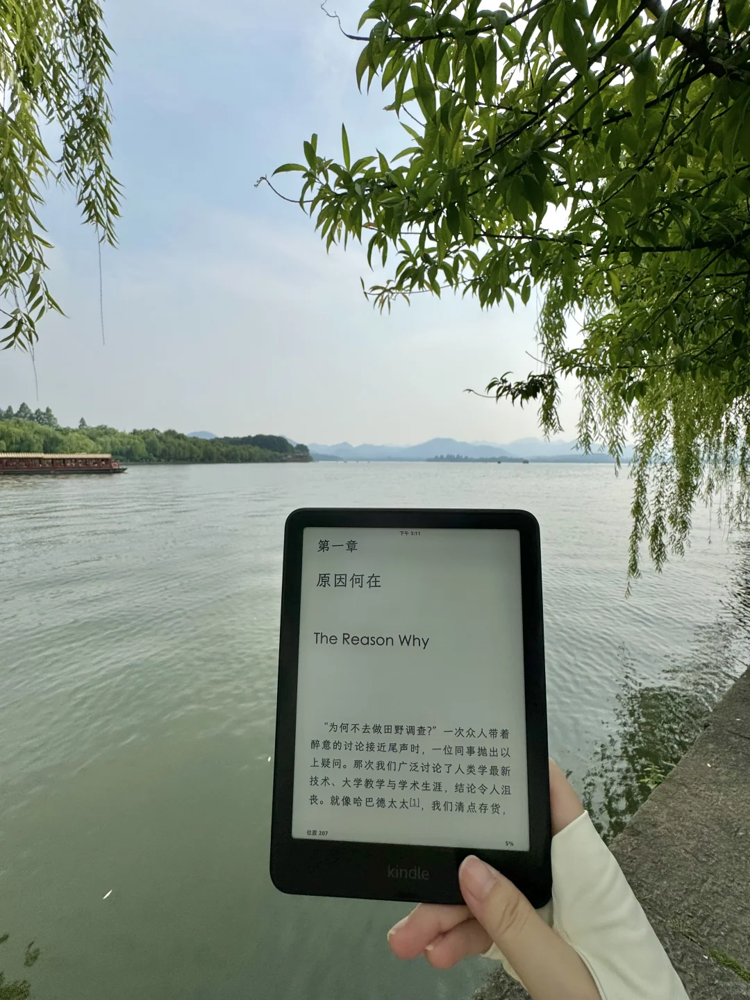 你在看什么书