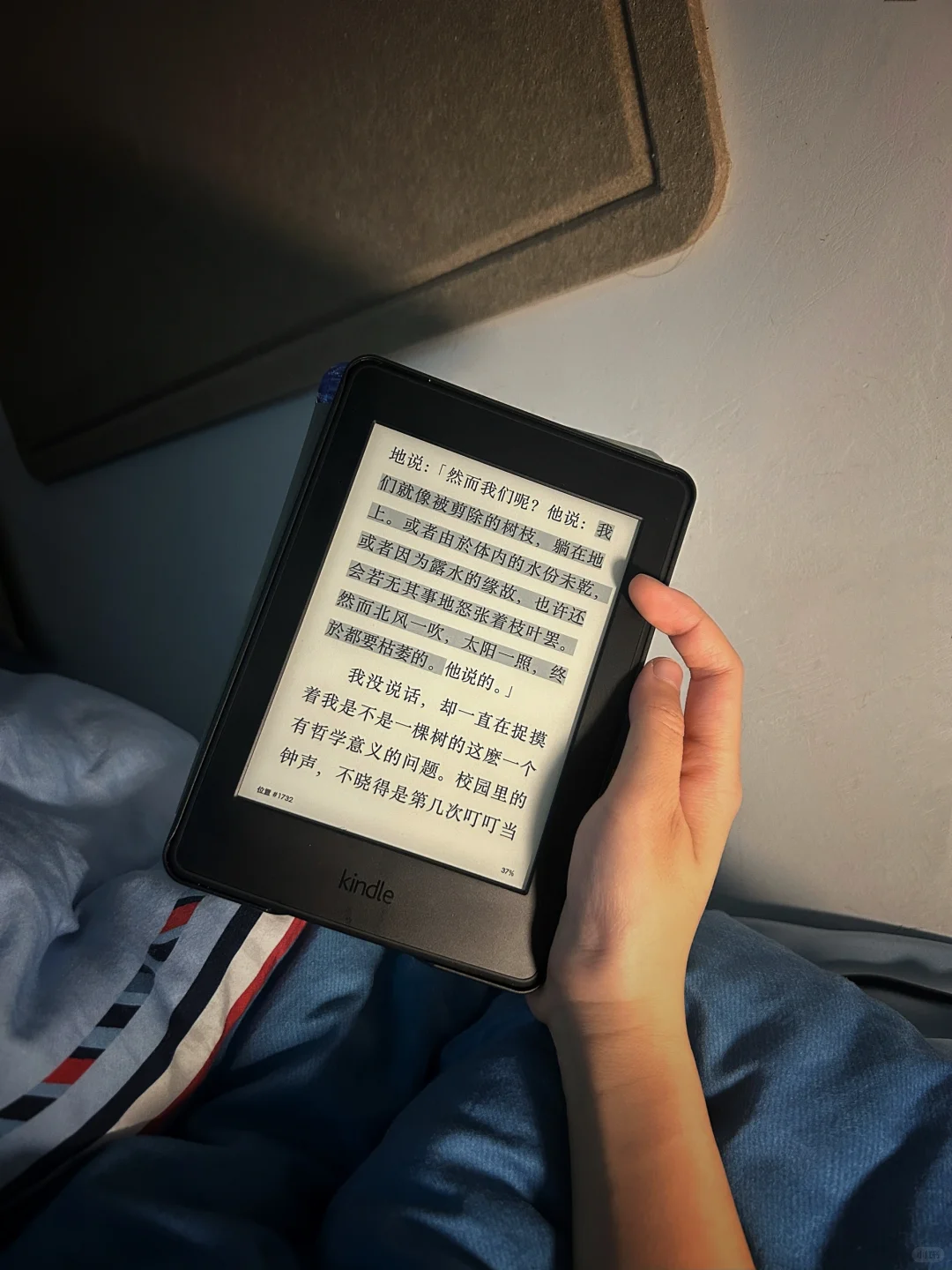 当我在学校里都在用kindle看什么书
