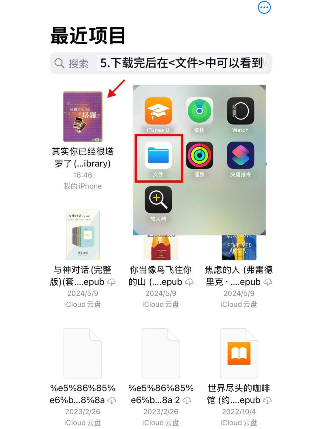 苹果浏览器下载的文件查找方法