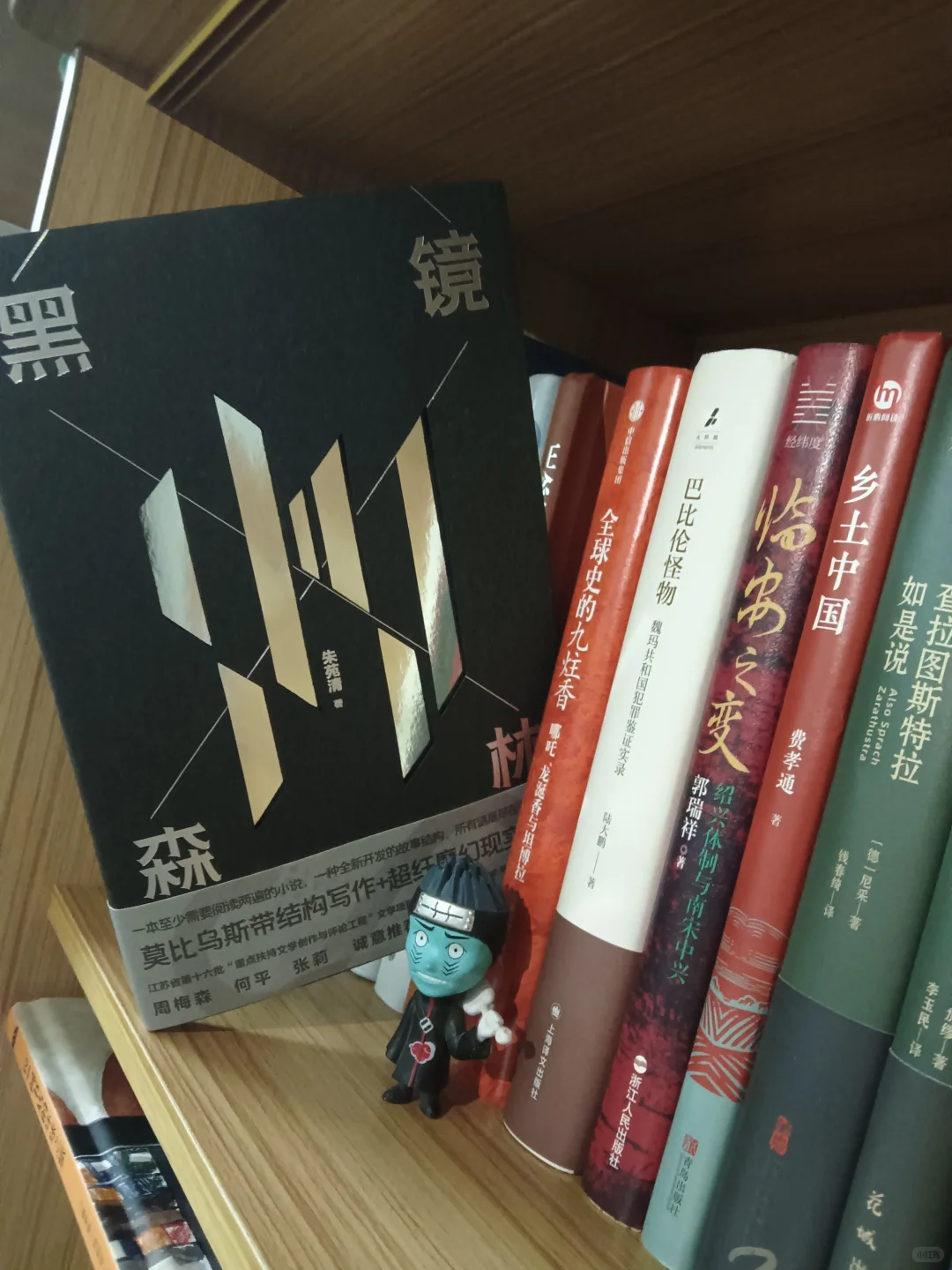 看到这本书之后，get到了电子书的局限性