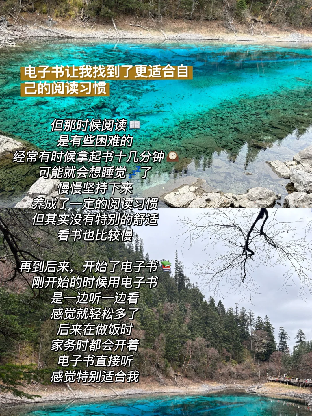 电子书让我找到了更适合自己的阅读方式