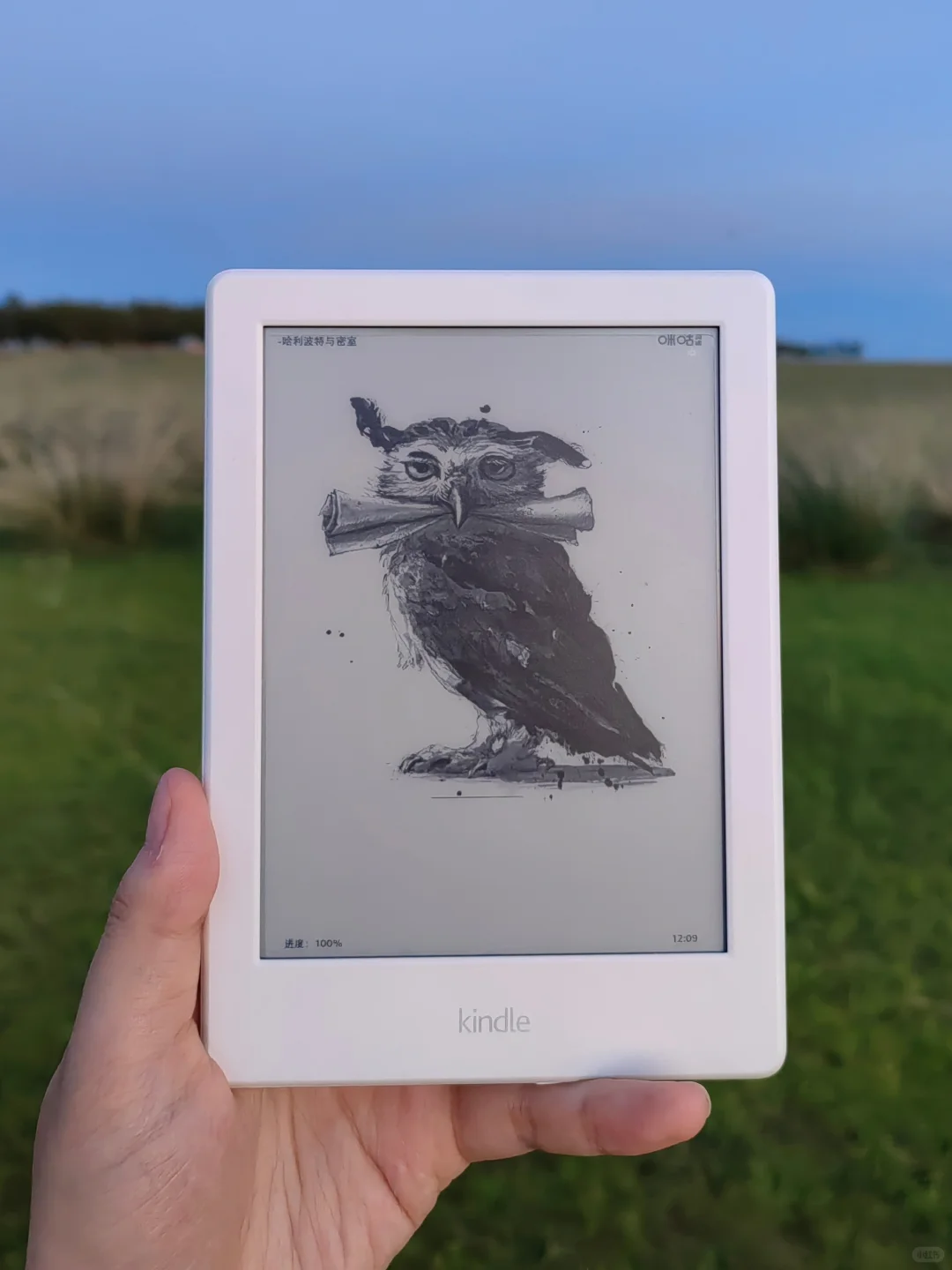 二手kindle好香啊😍