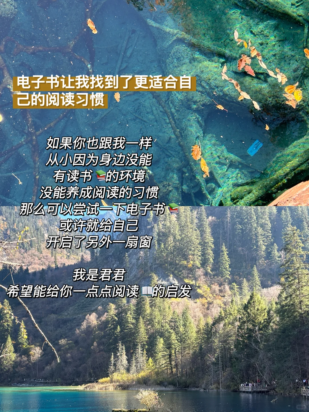 电子书让我找到了更适合自己的阅读方式