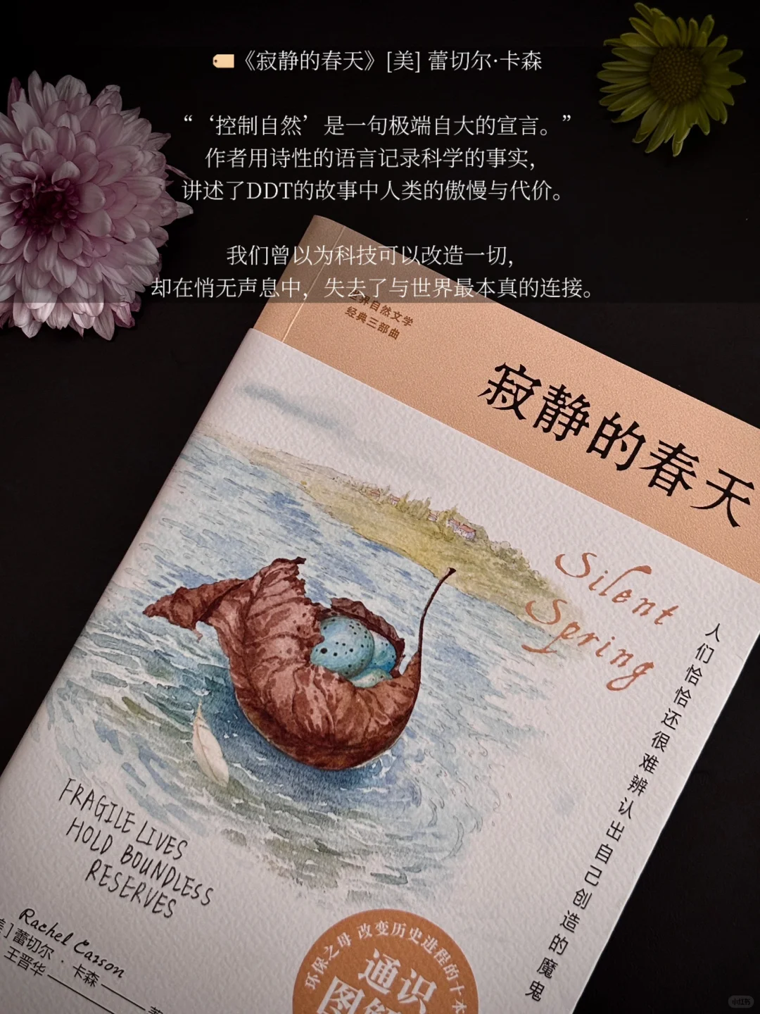 5月书单 | 忙碌的日子也见缝插针读了很多书