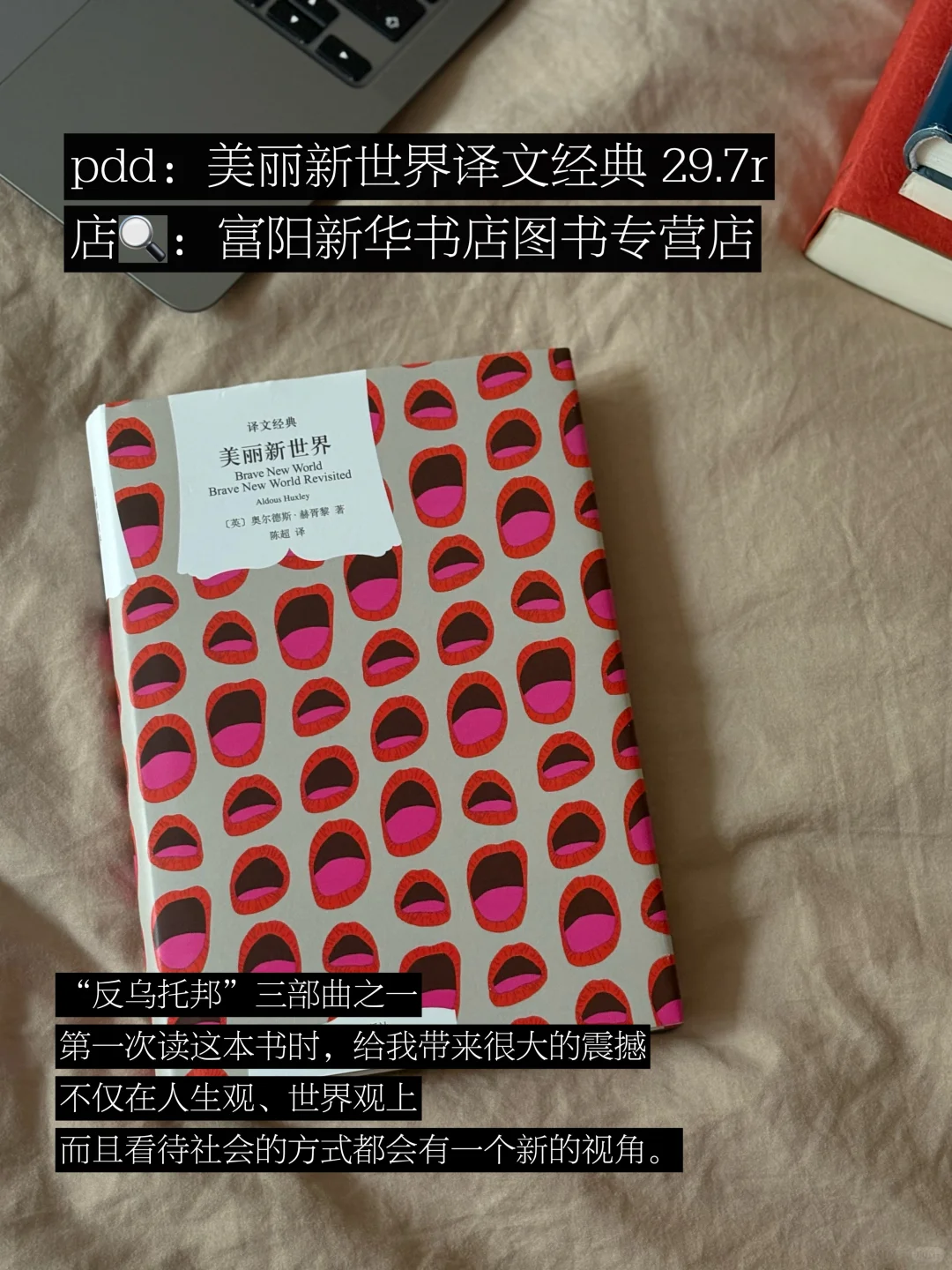 pdd｜分享一波我反复重读的经典书