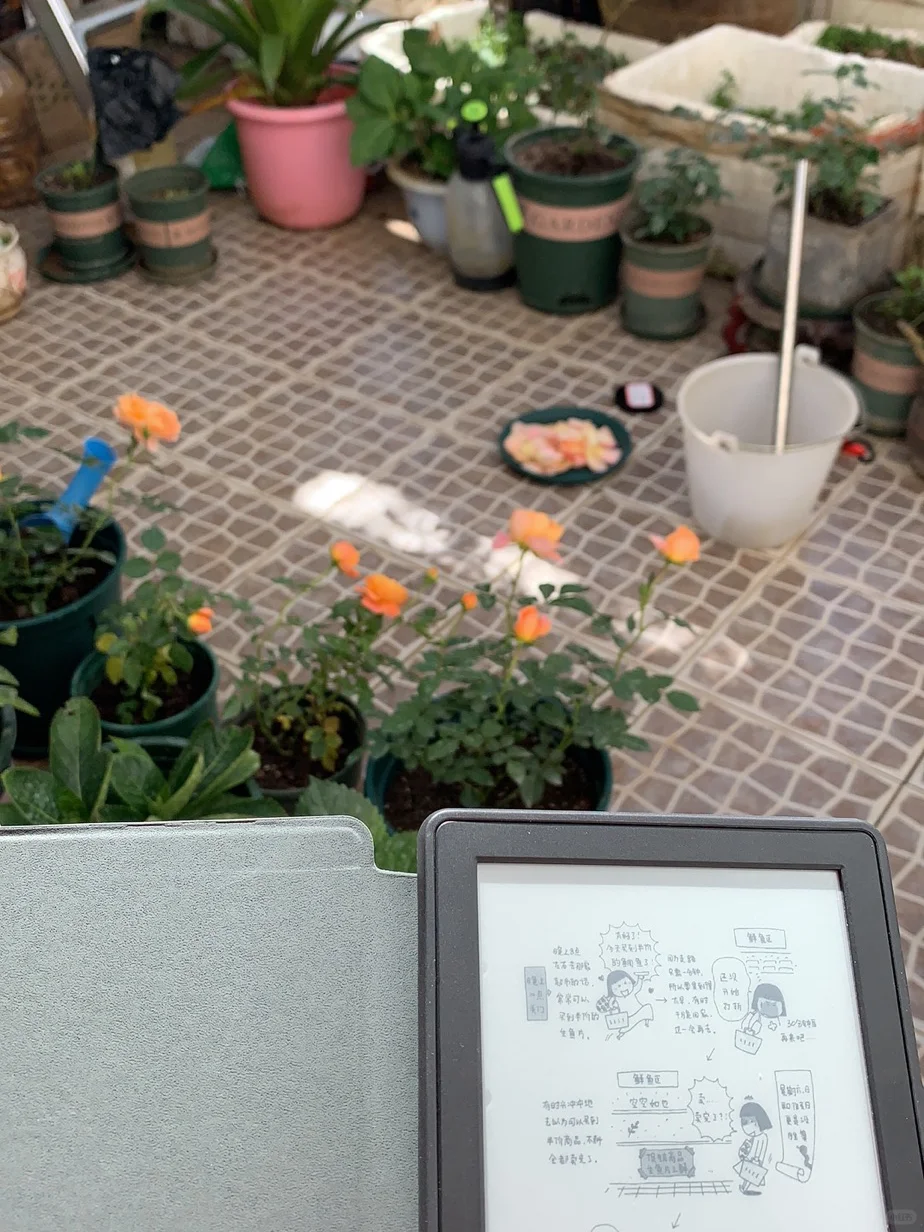 kindle我的新宠