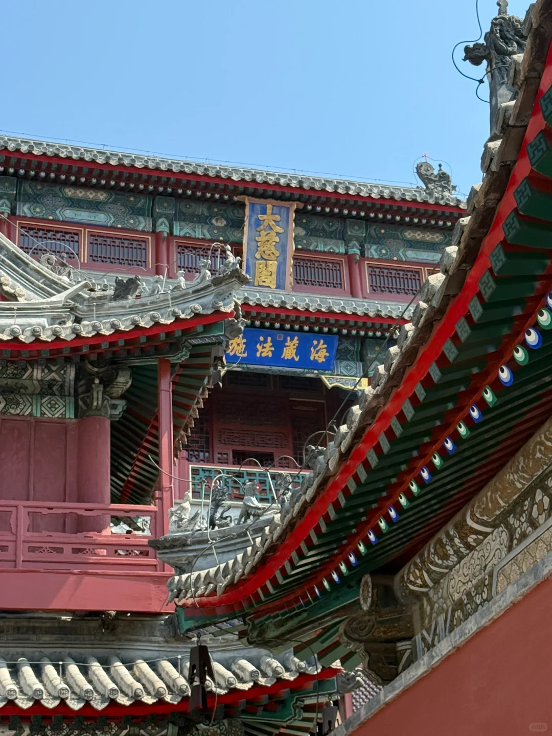 5月，最触及我的是这几本书。
