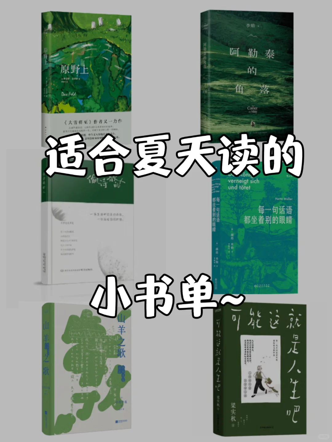 🍃夏日清凉书单｜每一本都强推！
