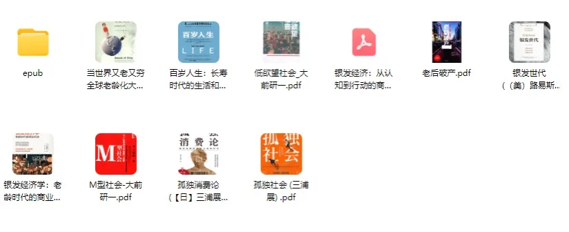 养老经济10本电子书PDF+epub