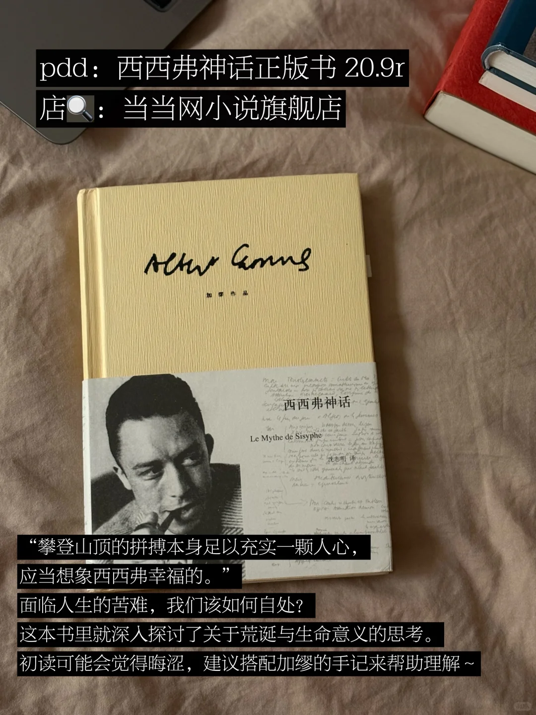 pdd｜分享一波我反复重读的经典书