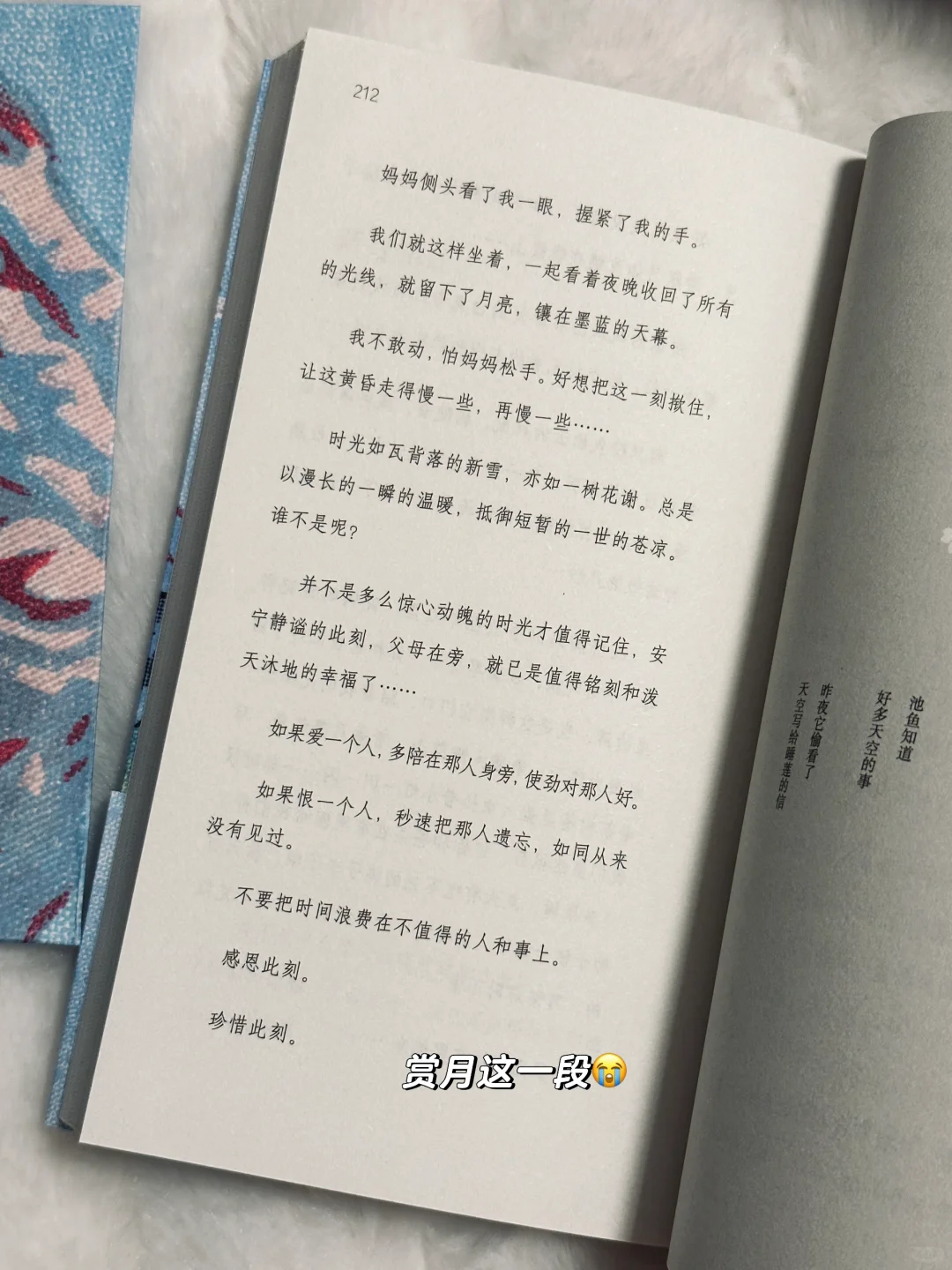 entp’s📖阅读使我通透🍃近期我最爱的6本书