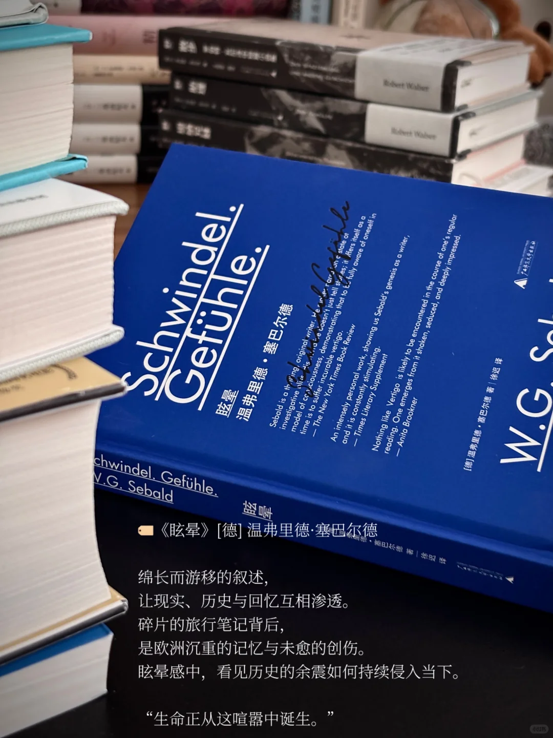 5月书单 | 忙碌的日子也见缝插针读了很多书