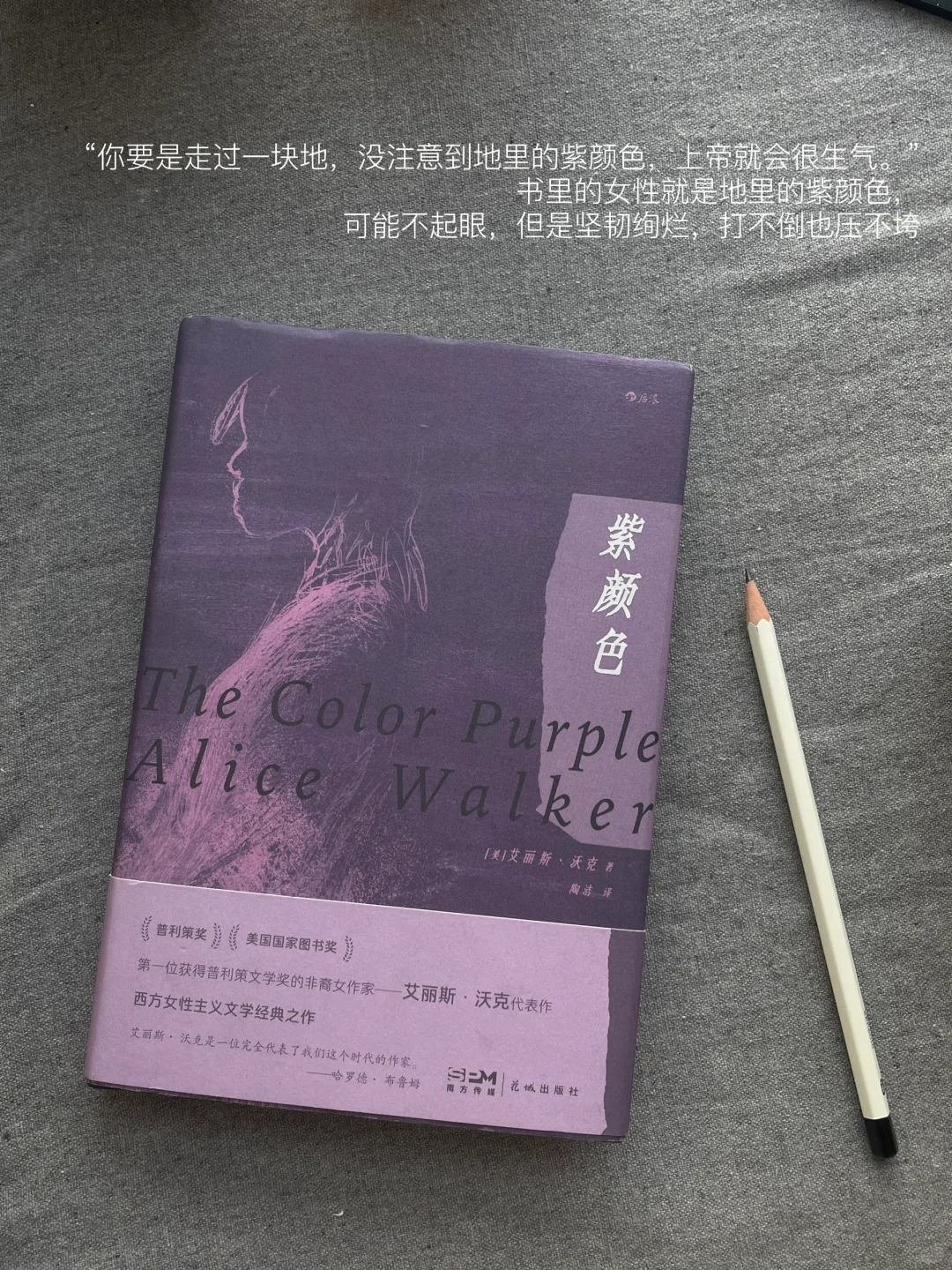 二月书单｜这个月的书就先读到这里