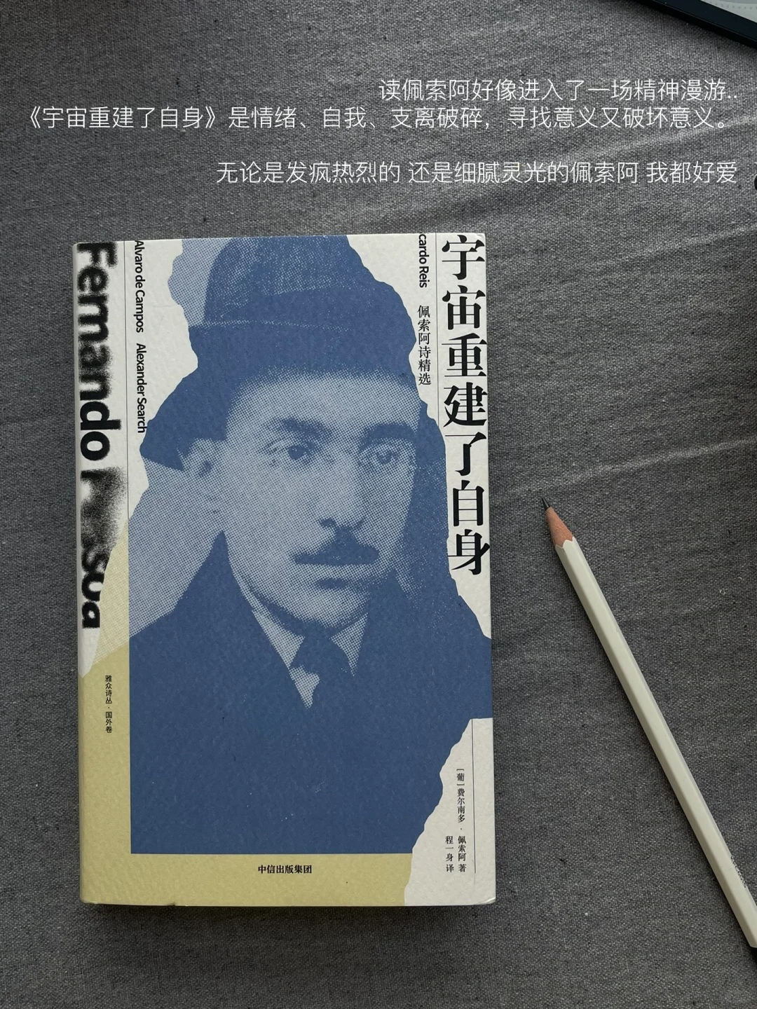 二月书单｜这个月的书就先读到这里