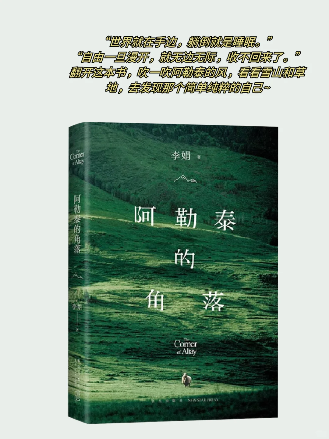 🍃夏日清凉书单｜每一本都强推！