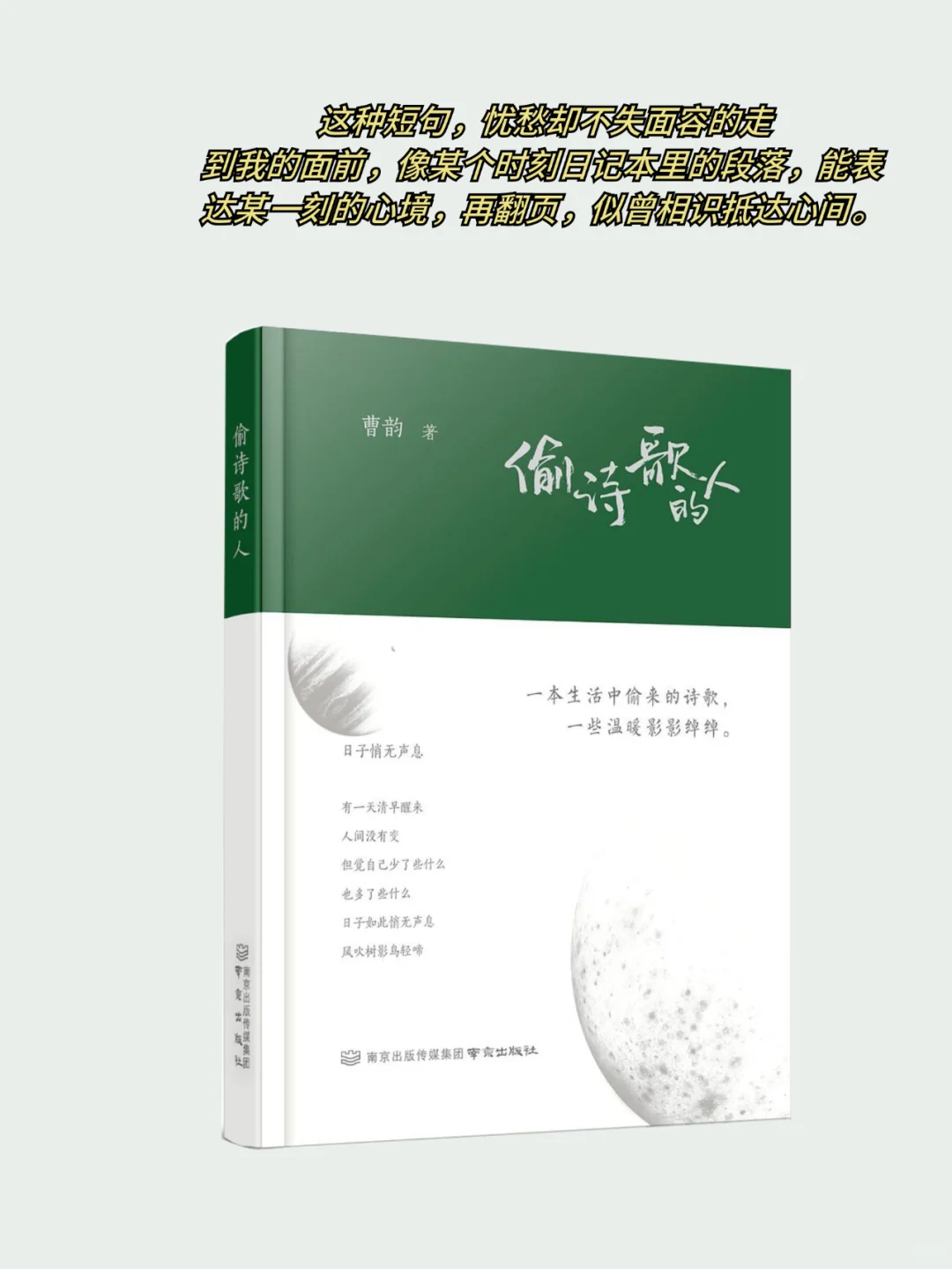 🍃夏日清凉书单｜每一本都强推！