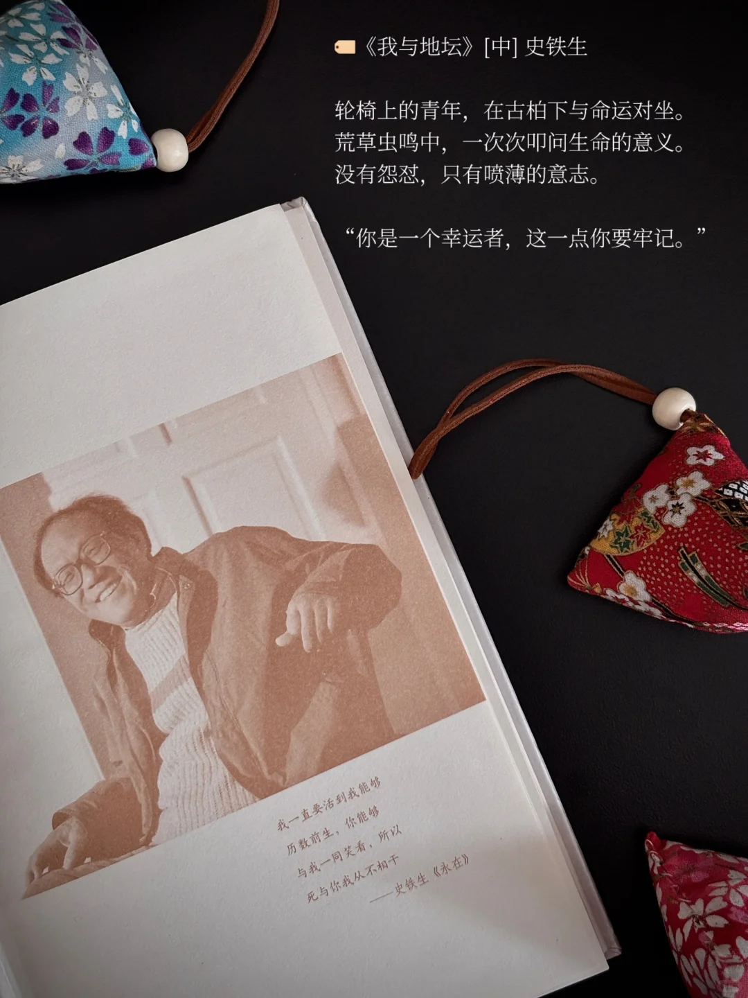 5月书单 | 忙碌的日子也见缝插针读了很多书