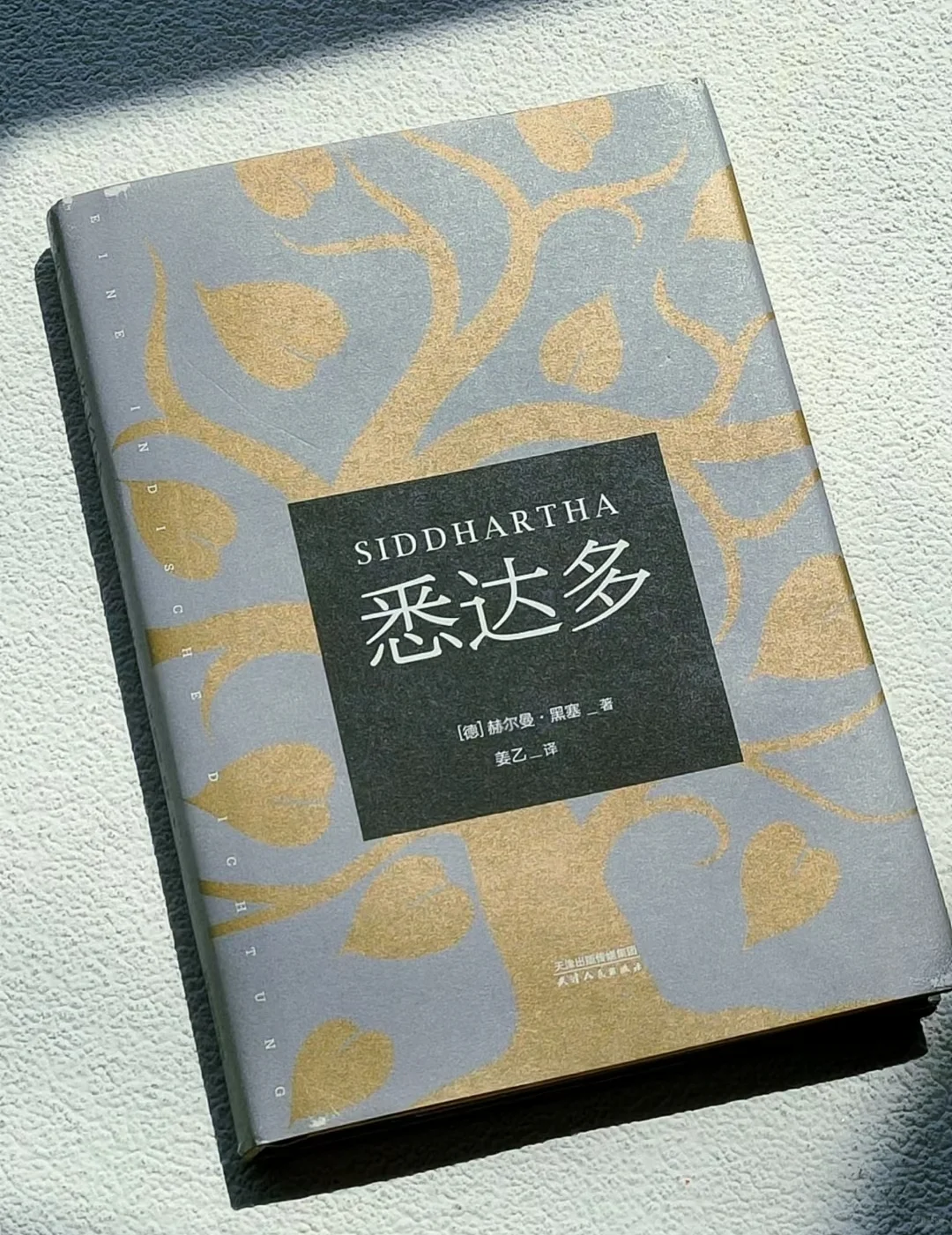 滴滴，电子书哇