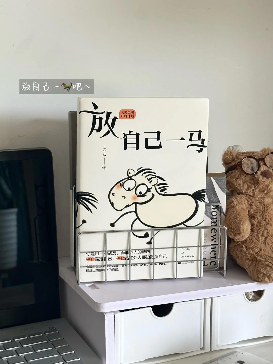 被狠狠治愈了🍃焦虑，内耗严重的一定要读！
