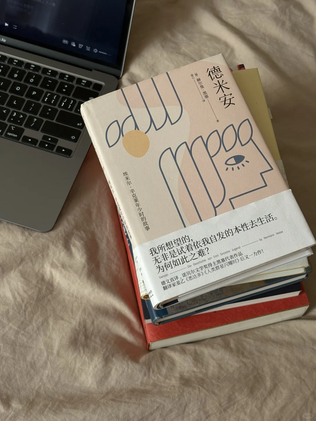 pdd｜分享一波我反复重读的经典书