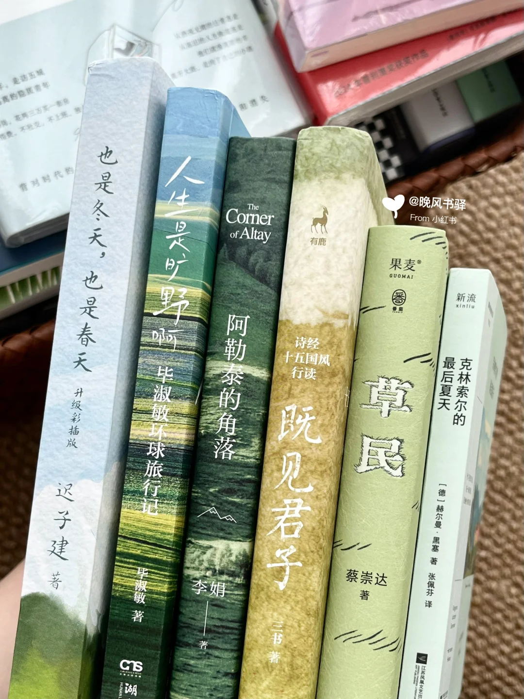 眼睛先吸氧！6本绿色系书单推荐给你🌲