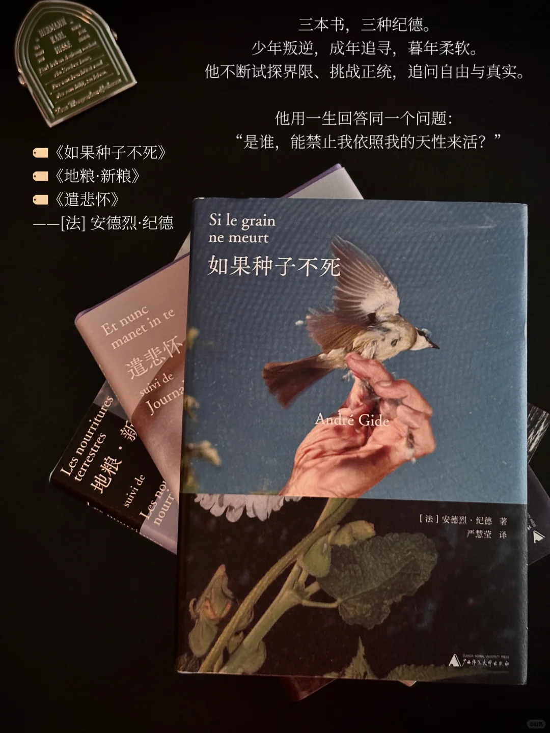 5月书单 | 忙碌的日子也见缝插针读了很多书