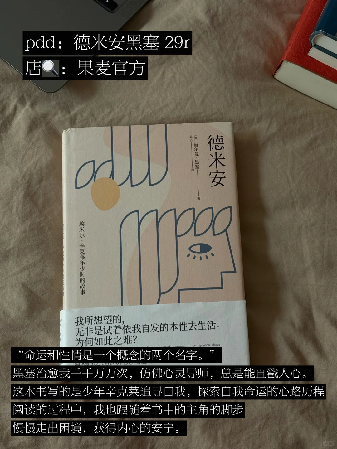 pdd｜分享一波我反复重读的经典书