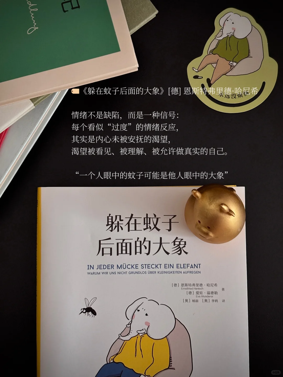 5月书单 | 忙碌的日子也见缝插针读了很多书