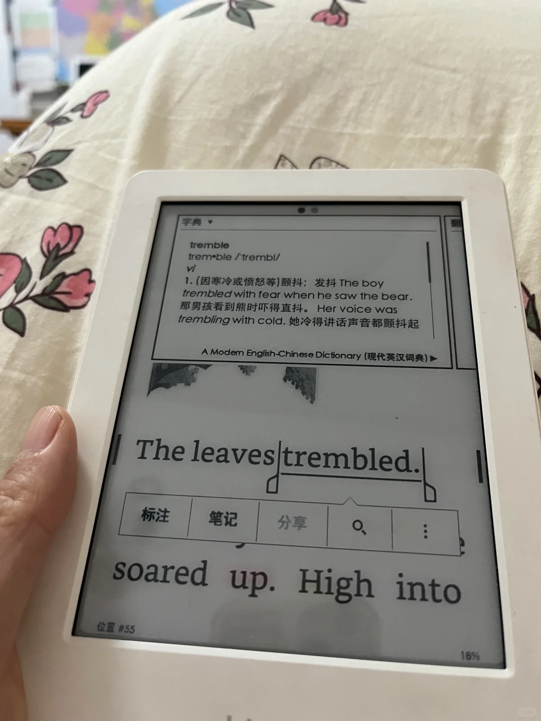 闲置kindle再利用，读神奇树屋驯龙大师