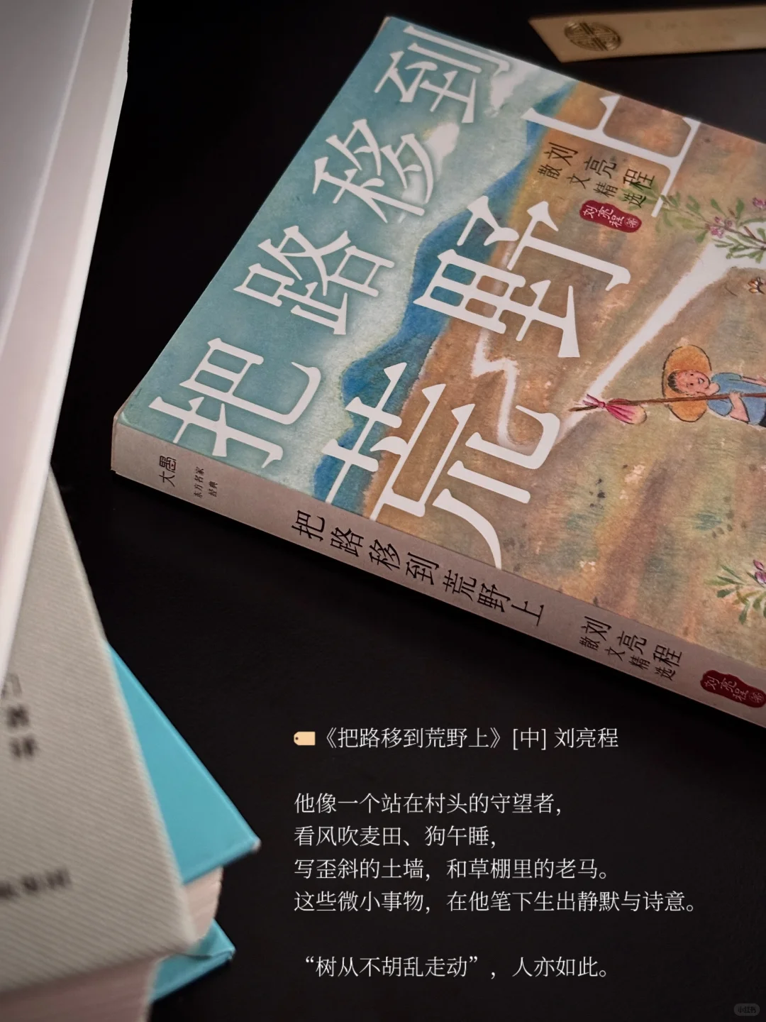 5月书单 | 忙碌的日子也见缝插针读了很多书