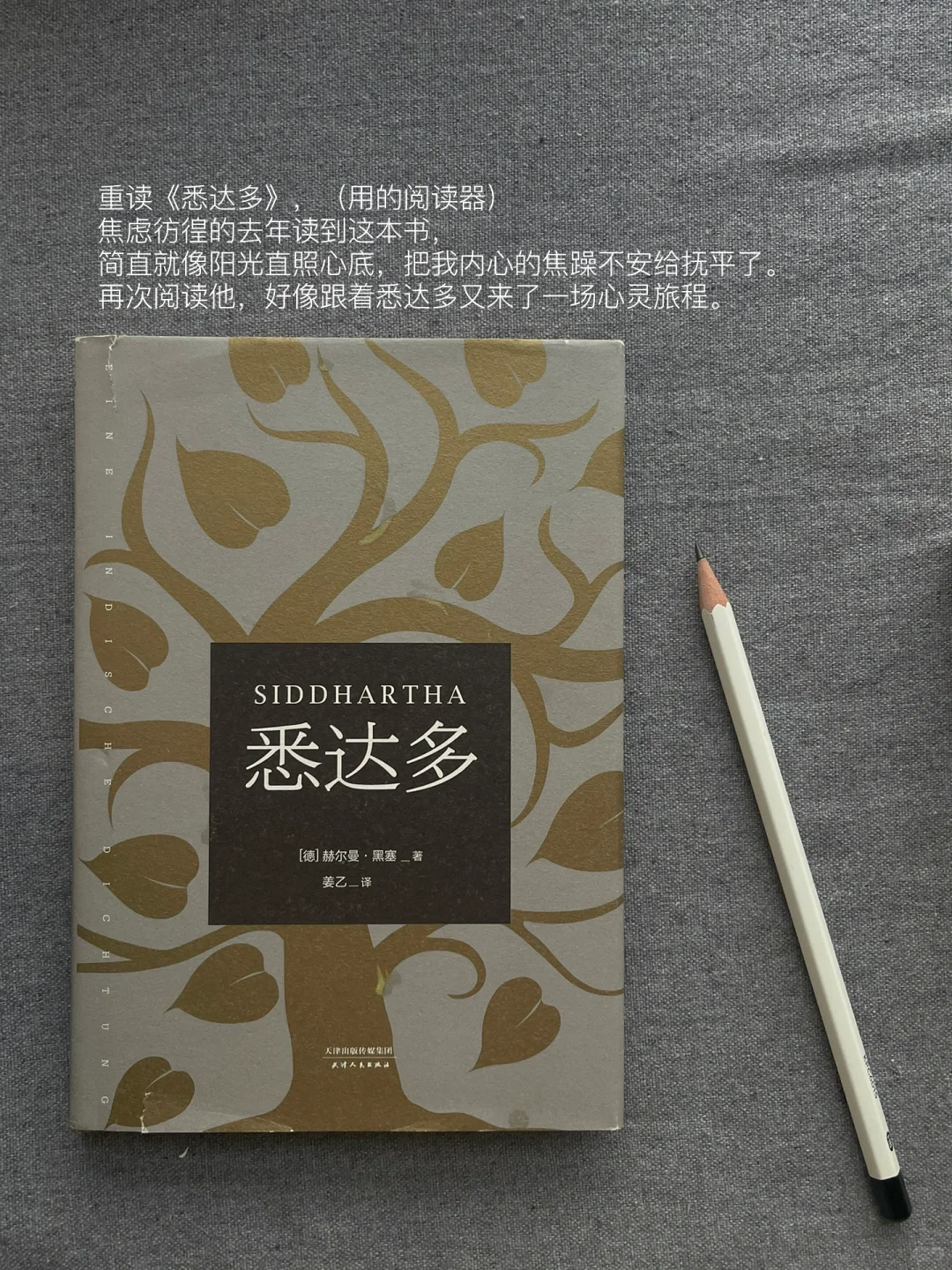 二月书单｜这个月的书就先读到这里