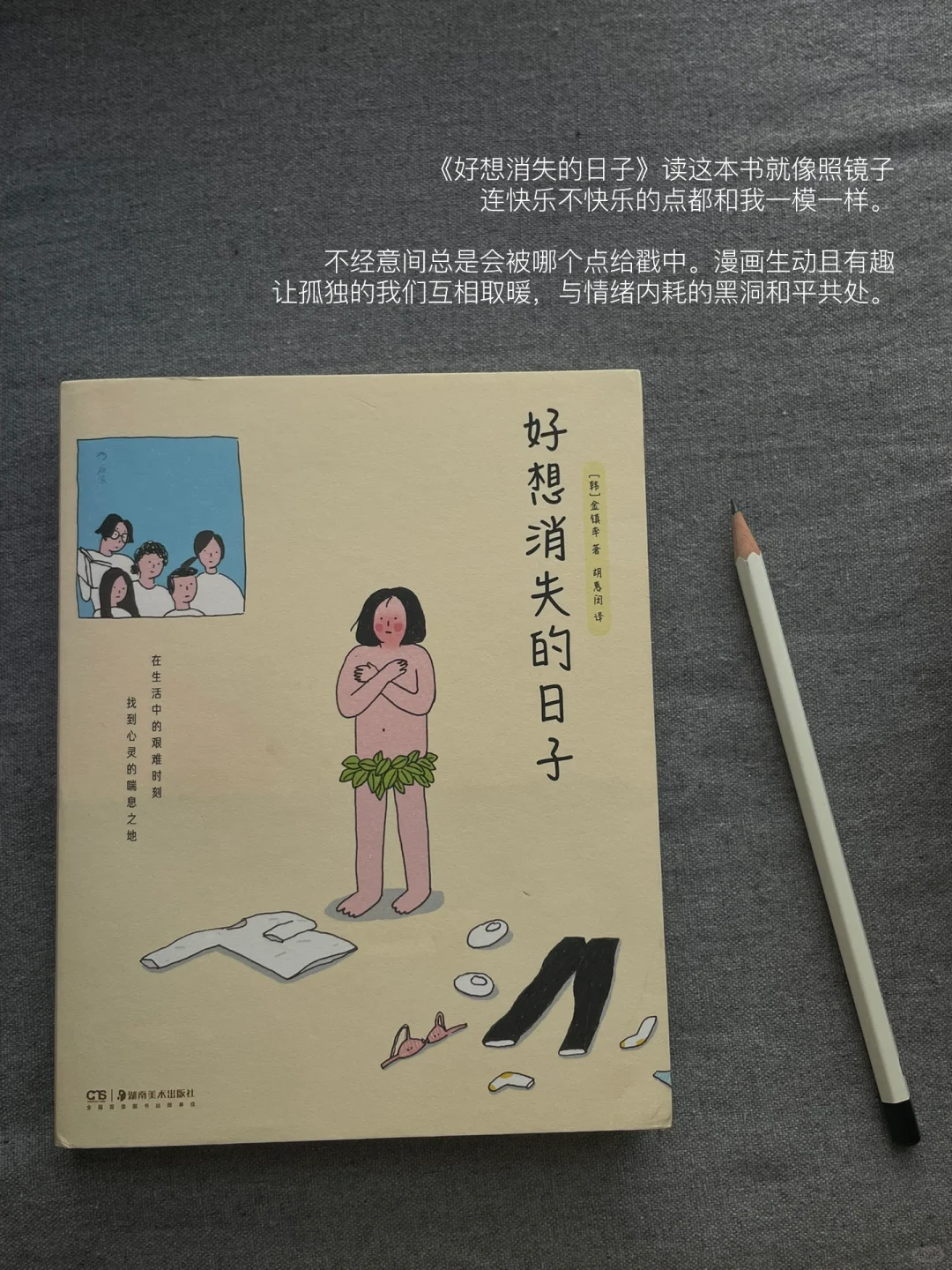 二月书单｜这个月的书就先读到这里