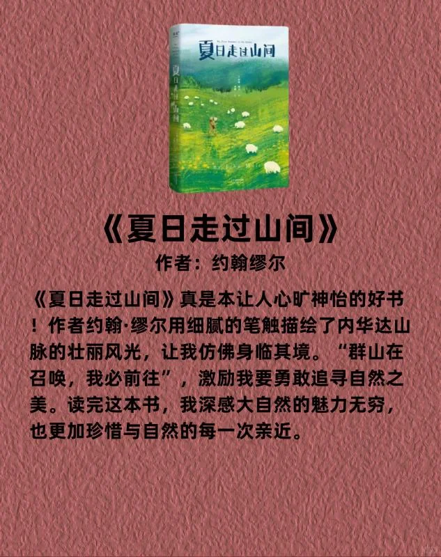 这几本书，太太太治愈了！！！