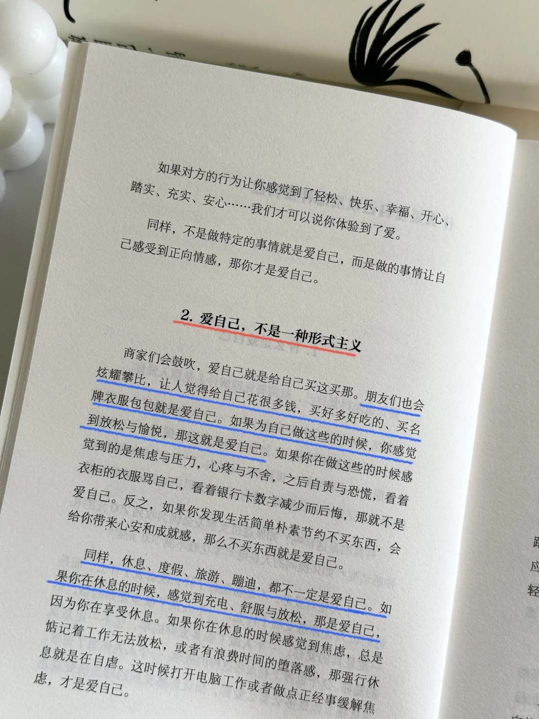 被狠狠治愈了🍃焦虑，内耗严重的一定要读！