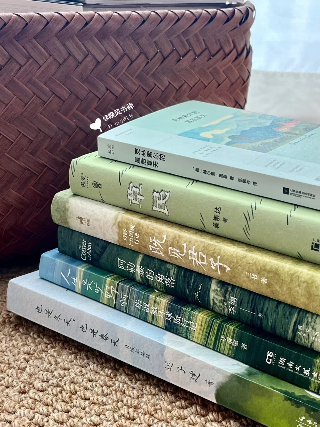 眼睛先吸氧！6本绿色系书单推荐给你🌲