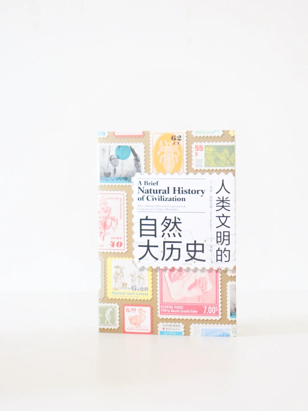 6月粉丝福利｜历史×女性主义重磅硬核书单📚