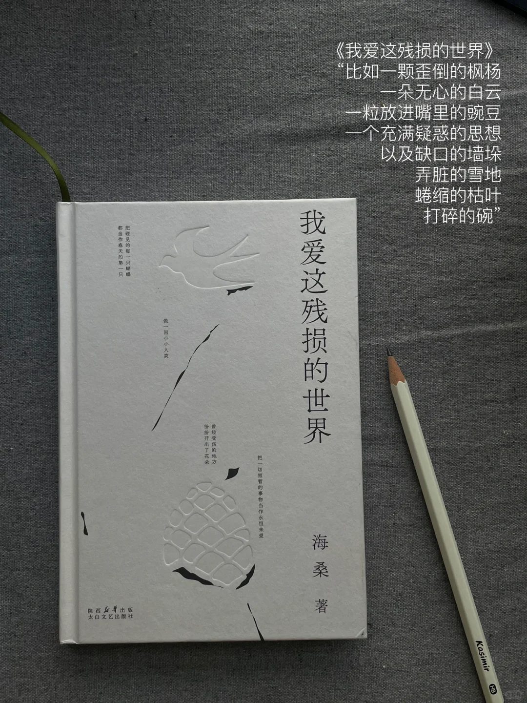 二月书单｜这个月的书就先读到这里
