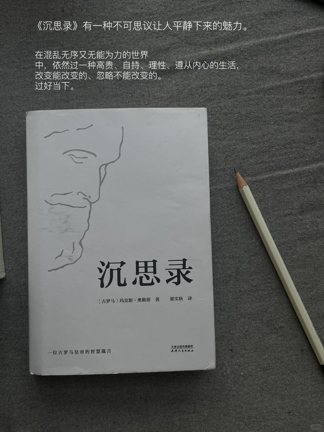 二月书单｜这个月的书就先读到这里