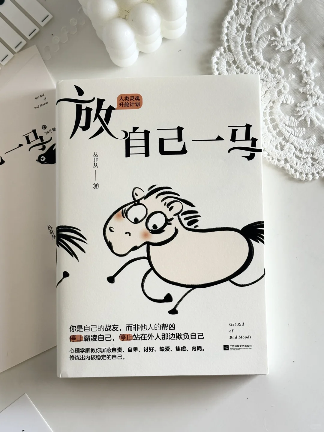 被狠狠治愈了🍃焦虑，内耗严重的一定要读！