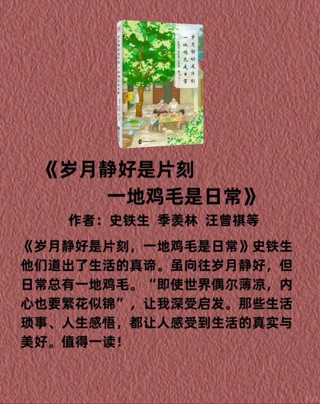 这几本书，太太太治愈了！！！