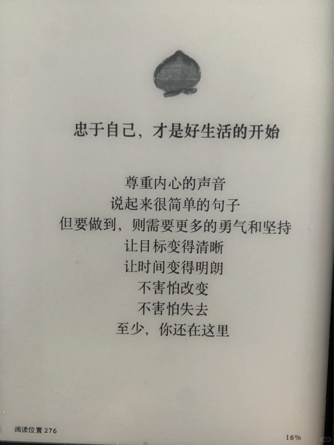 kindle我的新宠