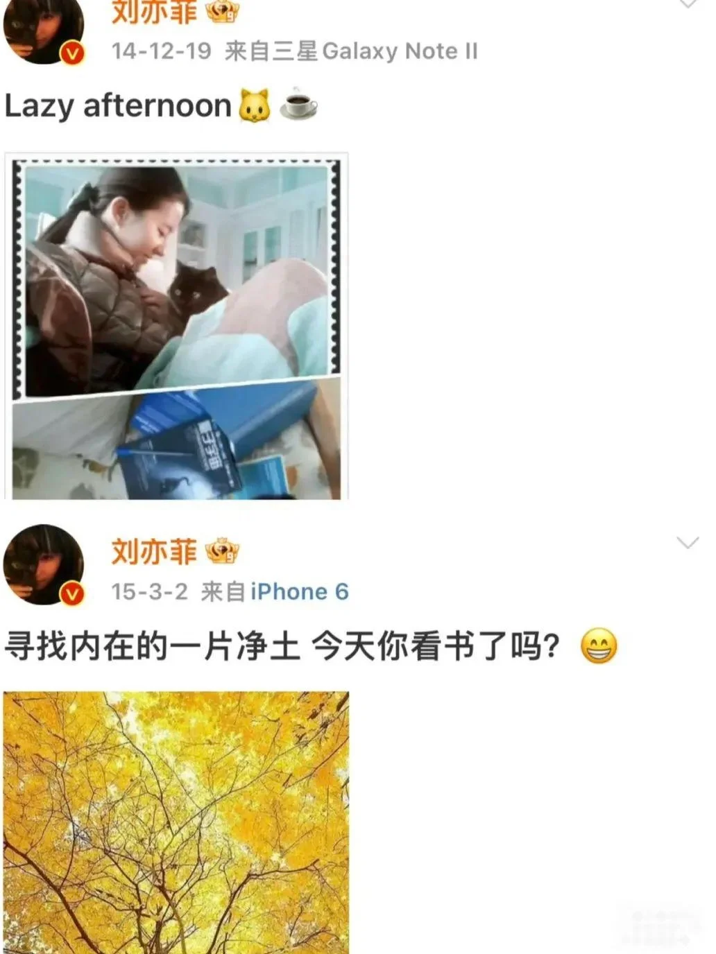 出息了｜小红书真的请到爱看书的刘亦菲了