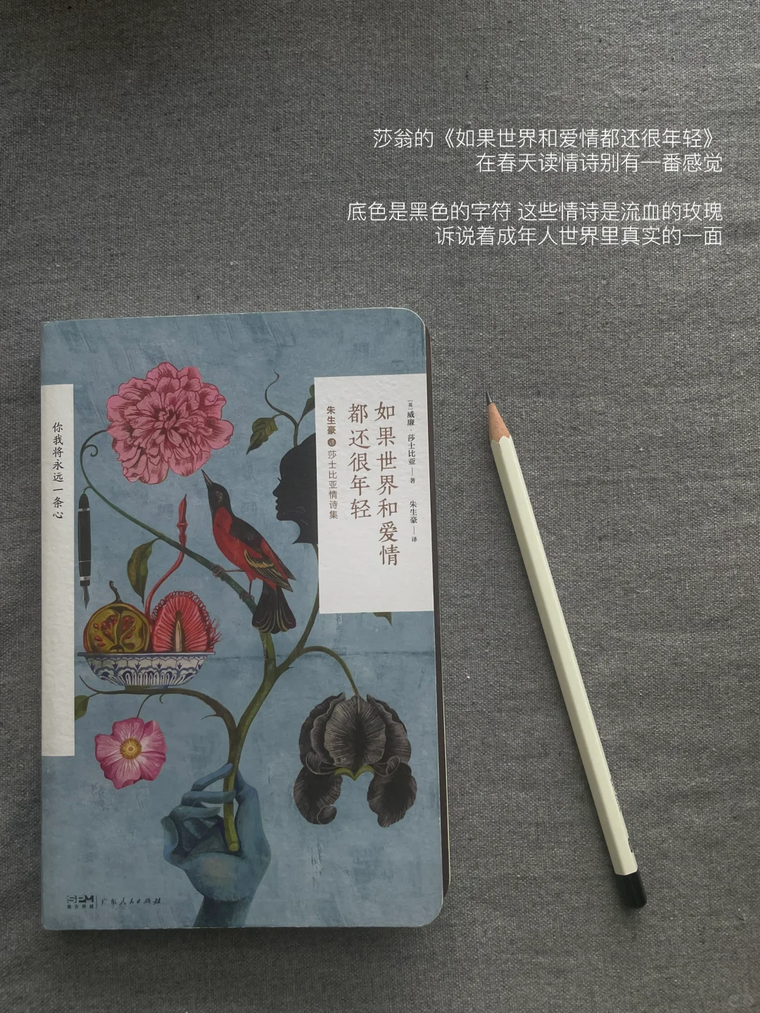 二月书单｜这个月的书就先读到这里